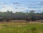 UTLX 208889